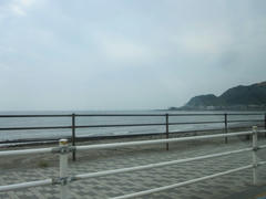 IMG_9974.JPG