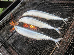 IMG_0200.JPG