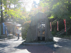 IMG_0883.JPG