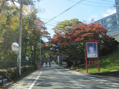 IMG_0897.JPG