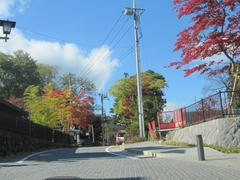 IMG_0902.JPG