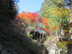 IMG_0937.JPG
