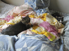 IMG_1128.JPG