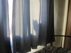 IMG_1188.JPG