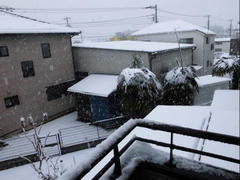 CIMG0453.JPG