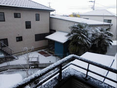 CIMG0582.JPG