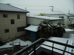 CIMG0672.JPG