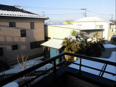 CIMG0760.JPG