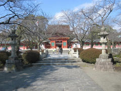 IMG_1987.JPG