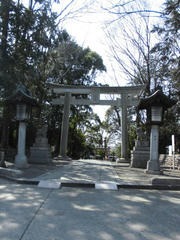 CIMG0906.JPG