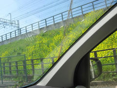 IMG_2115.JPG