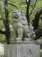 CIMG2303.JPG