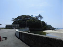 CIMG3290.JPG