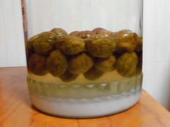 ume6191.JPG