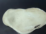 DSC06840.JPG