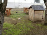 DSC03094.jpg