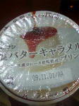 SA3B0081.jpg