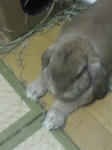 838f4526.jpeg
