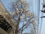 3ec9ef84.jpg