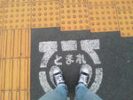 SH3I0411.jpg