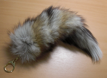 foxtail.png