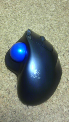 IMAG0677.jpg