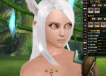 pw8.jpg