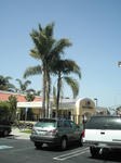 KICX0437.JPG