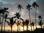 KICX2347.JPG