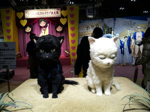 猫銀魂