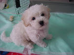 DSC01185.JPG