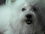 DSC00488.JPG