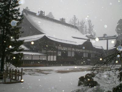 世界遺産　『高野山　総本山　金剛峯寺』しんしんと雪が降る♪