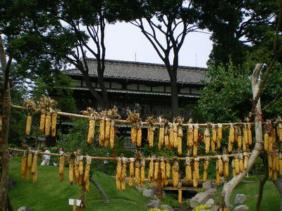 貴賓館　臨江閣は前橋会場です♪