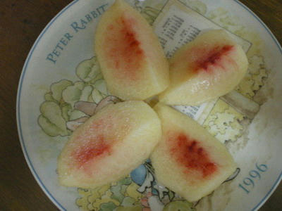 桃　もも　モモ　もう旨い♪