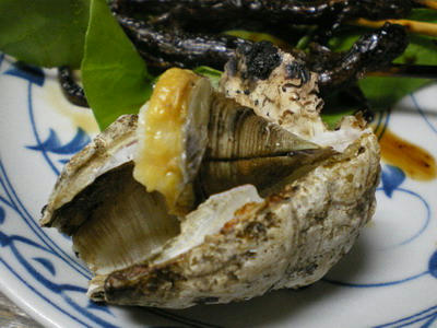 新宿西口　思い出横丁の珍品スタミナ料理『朝起（あさだち）』のふじつぼ♪