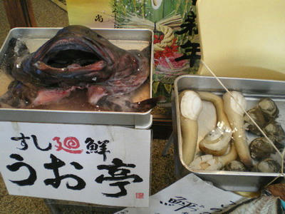 沼津魚市場のうお亭♪