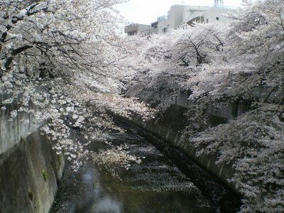 豊橋♪