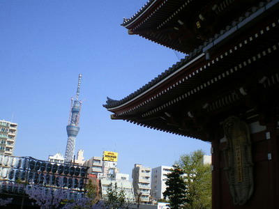 浅草寺からのスカイツリー♪