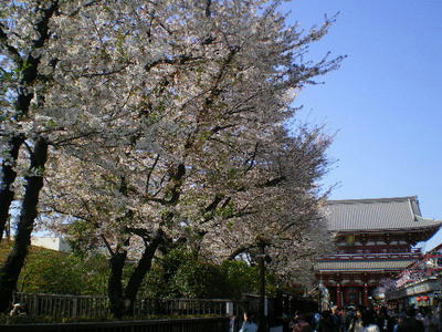 浅草浅草寺♪