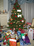 IMG_0435_1_1.JPG