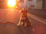 06092005.CIMG2329-1.JPG