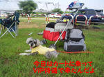 07072810.CIMG6531-1.jpg
