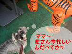 07080306.CIMG6646-1.jpg