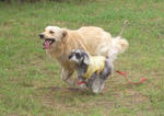 07080410.CIMG6663-1.JPG