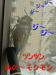 c7018755jpeg