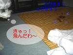 07081122.CIMG6784-11.jpg