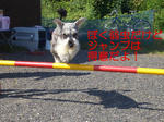 07101212.CIMG7796-1.jpg