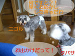 07101311.CIMG7818-1.jpg