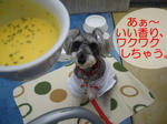 07101314.CIMG7853-1.jpg